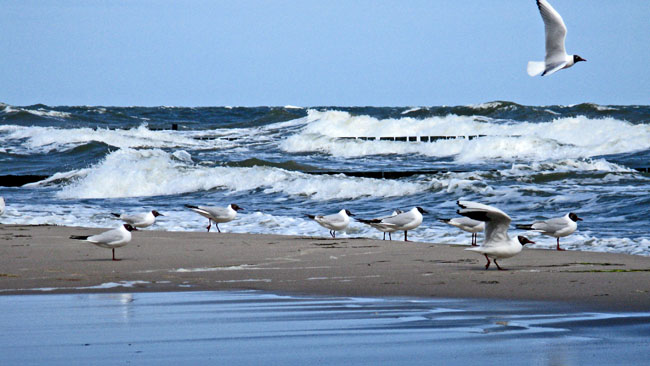 Gischt auf den Wellen der unruhigen Ostsee